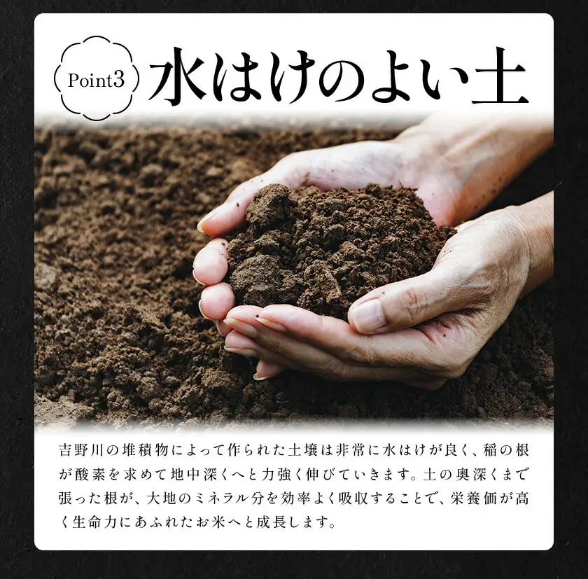 【7月上旬発送】 徳島ふるさと実り米 精米 5kg 