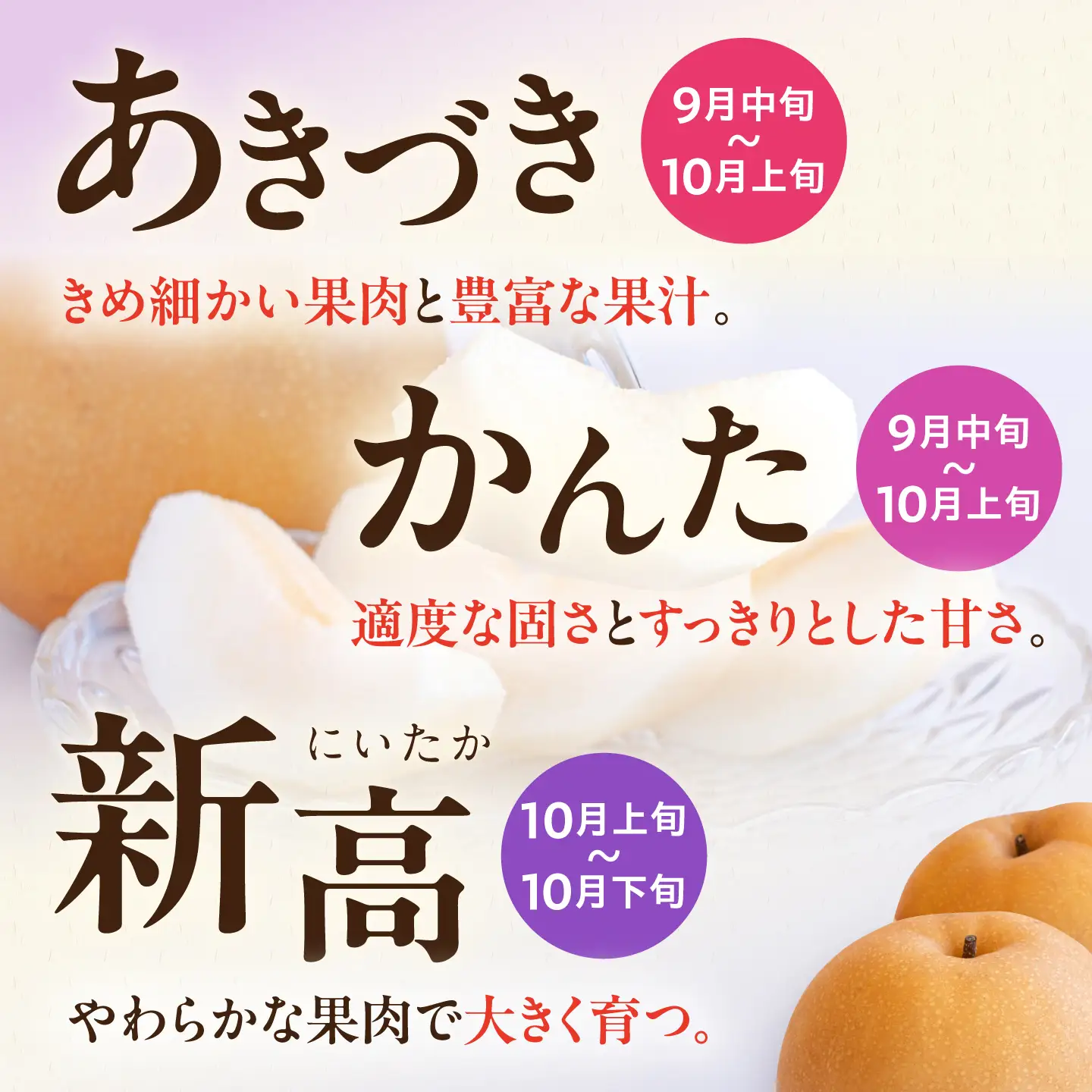 【2回定期便】朝採り旬の梨 約2.5kg（6玉）/回 計5kg 大村市 産直松吉/梨 なし 定期便 梨 幸水 豊水 秋麗 あきづき 新高 20世紀 二十世紀 かんた[ACZC012]