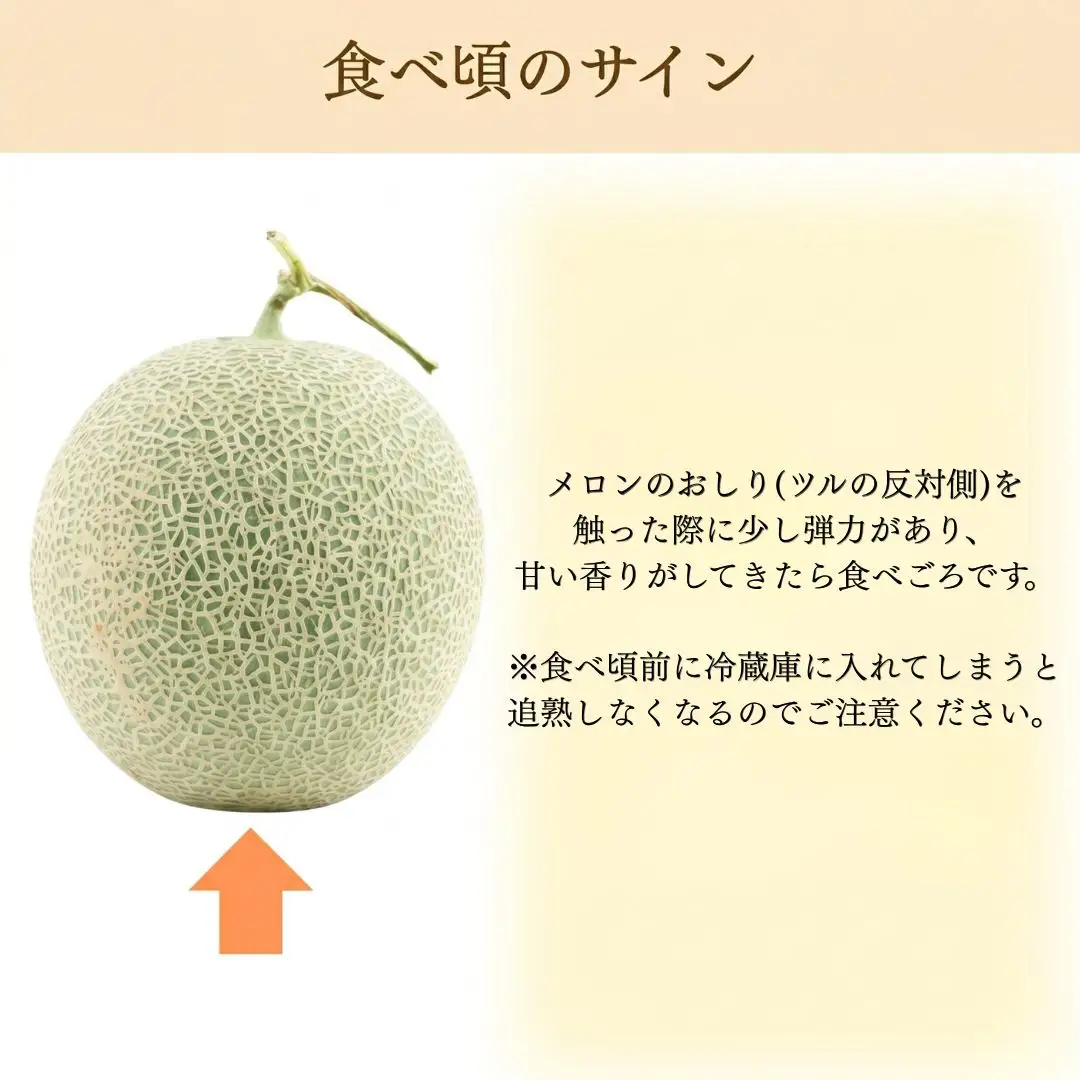 【先行予約】 レノンメロン 1玉 約2kg 赤肉 メロン 石川県 小松市