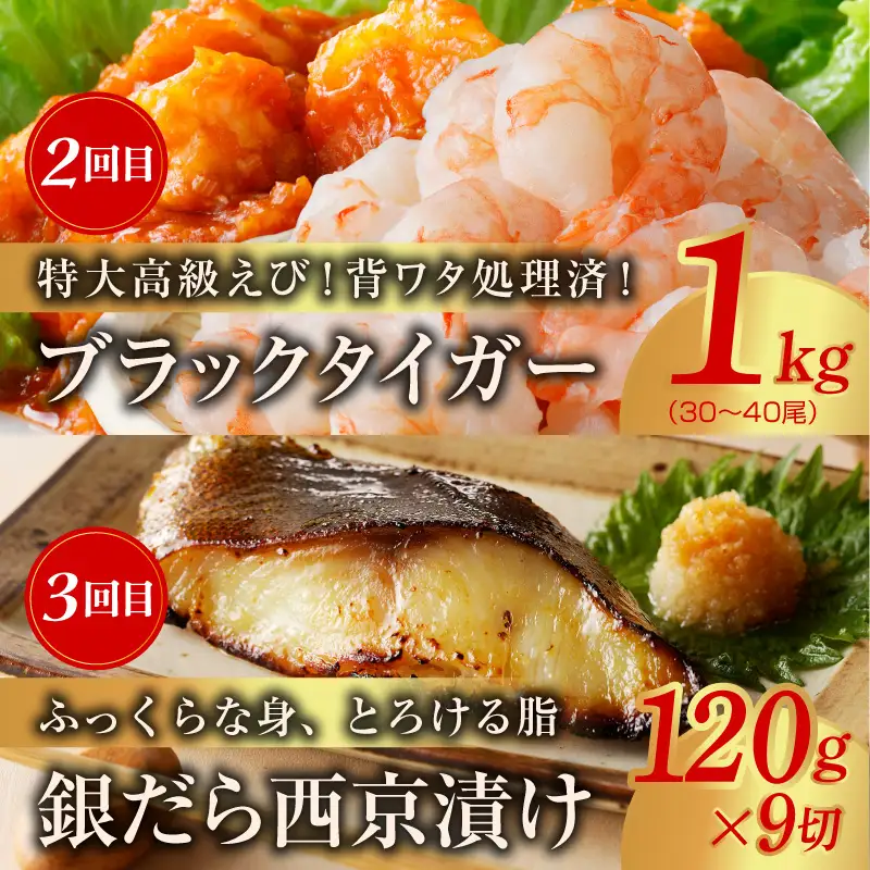 海鮮食べ比べ 定期便 全5回 総量6kg以上