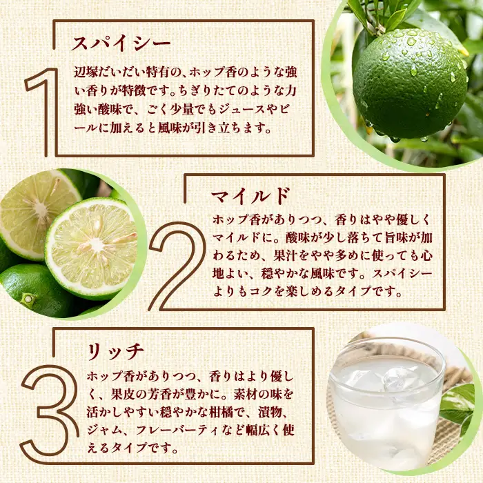 【A83013】3種の辺塚だいだい 生果汁 ジュースセット 鹿児島 国産 フルーツ 果物 果実 果汁 ジュース ドリンク ストレート フルーティー 辺塚だいだい ゆず 柚子 柑橘 3種類 飲み比べ セット 詰合せ ギフト プレゼント 【農地所有適格法人株式会社P＆Y'sLabo】