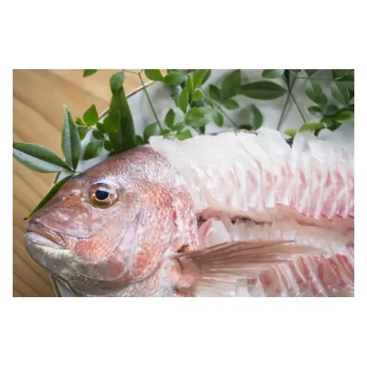 N276　紀州梅まだい２尾（鮮魚）