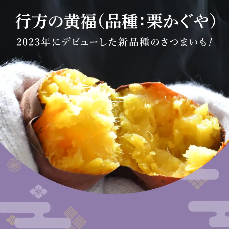 【訳あり】行方かんしょ「行方の黄福（栗かぐや）」さつまいも約10kg（洗い・不揃い・C品）｜茨城県 行方市 ふるさと納税 芋 野菜 栗かぐや(AE-151)