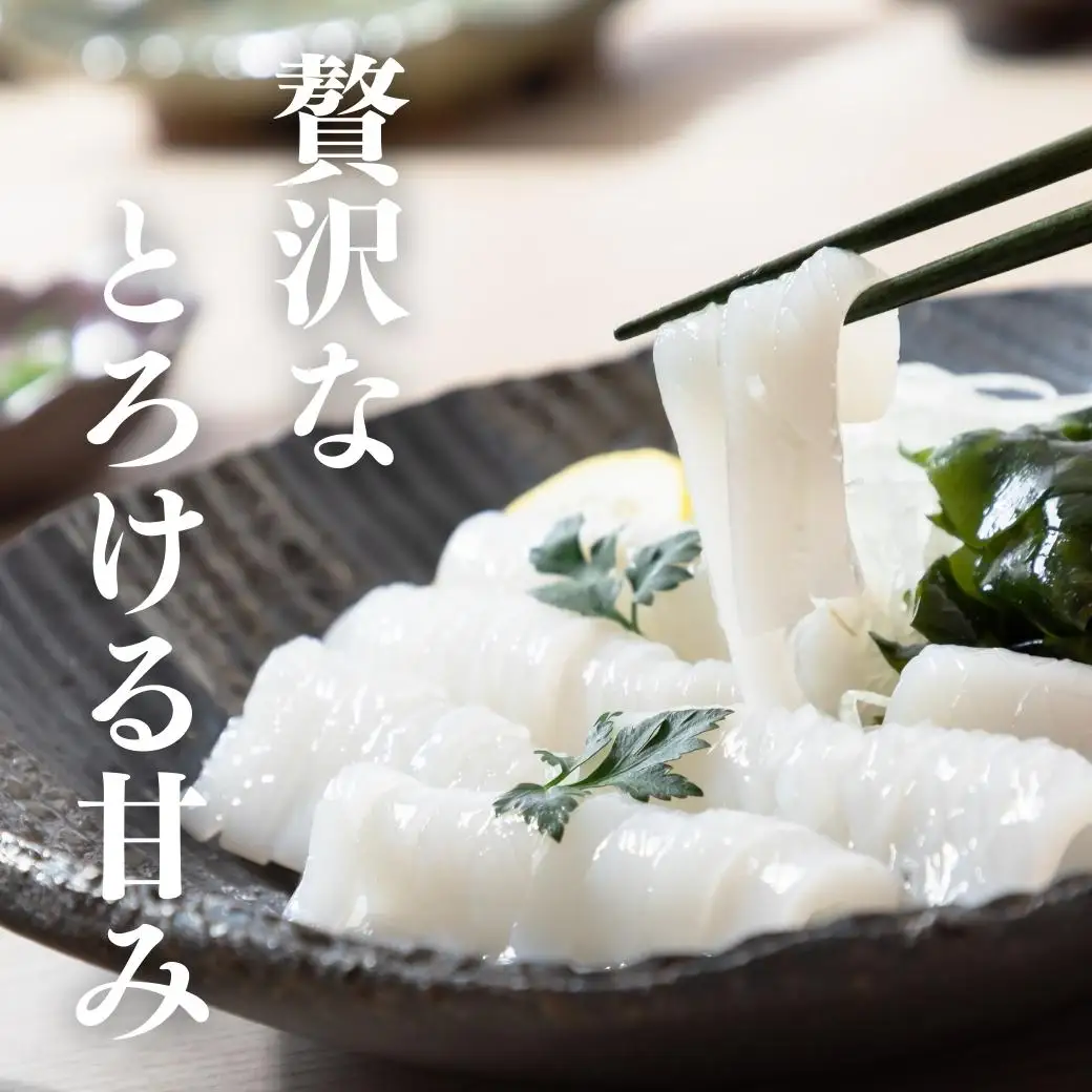 【高級白いか丸ごと 160g×3杯セット】ぷりぷり甘い朝どれ白いか 刺身用 ケンサキイカ