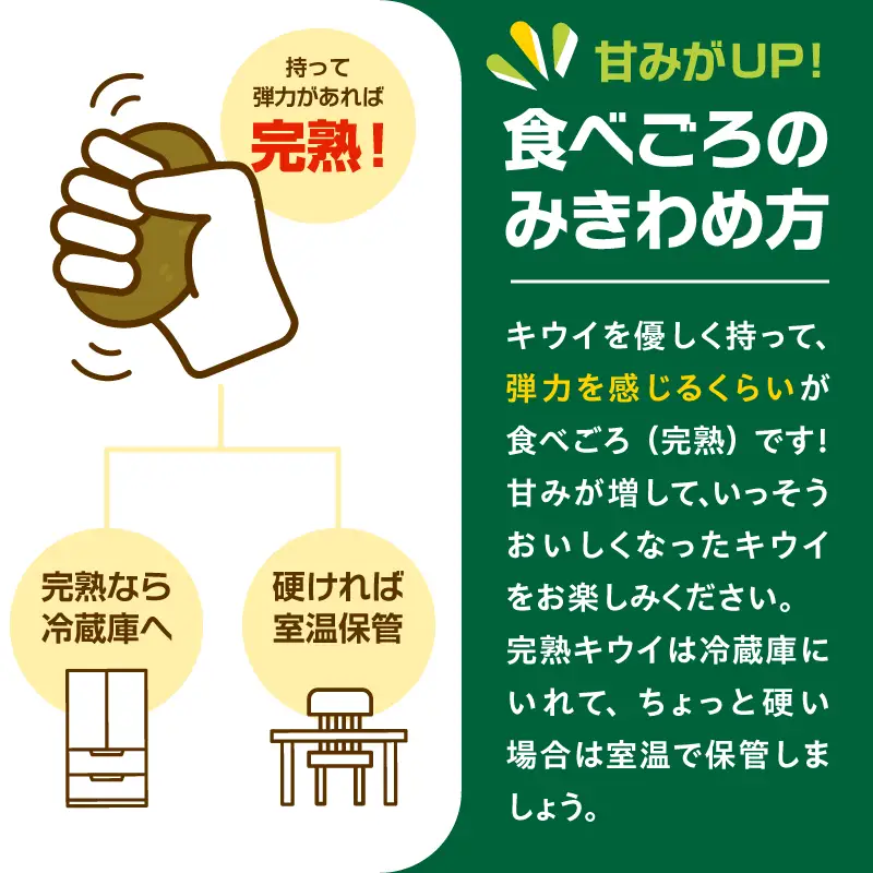 【先行予約】2026年度発送 三重県玉城町産 ゼスプリ サンゴールドキウイ 約2kg