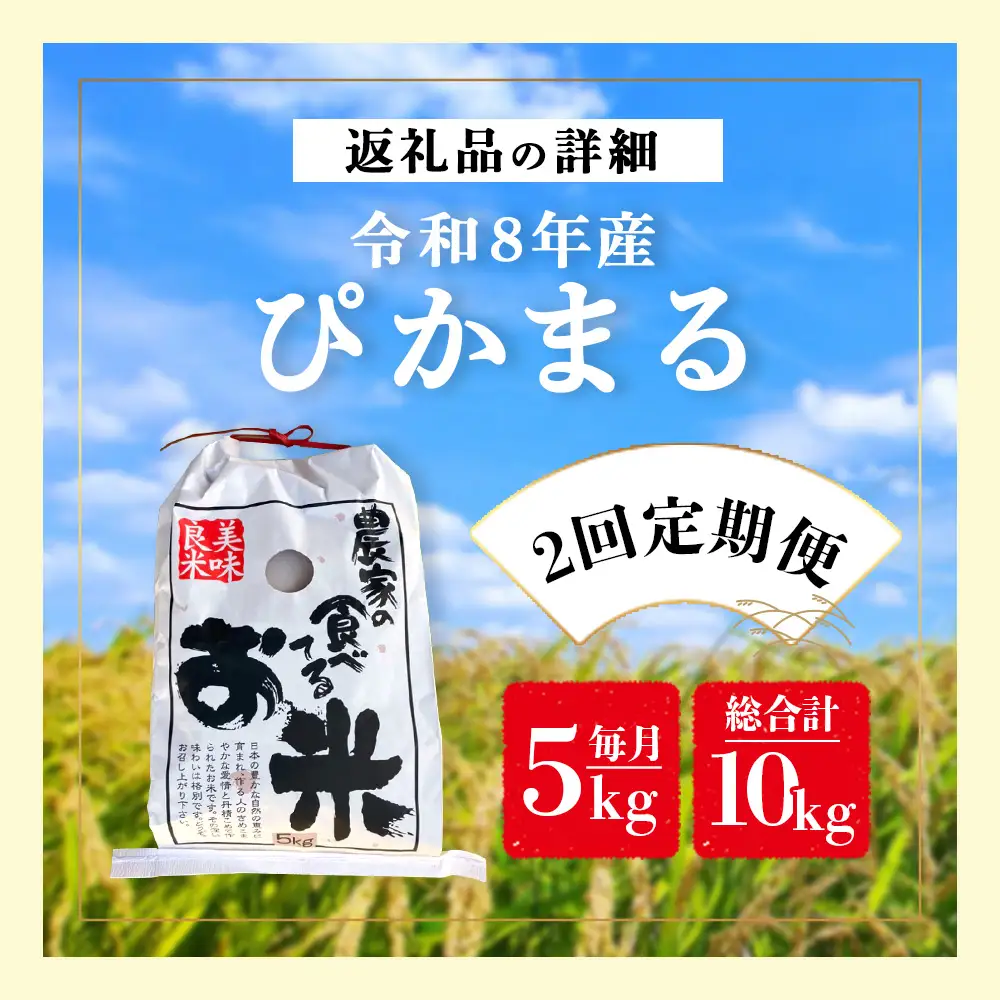 【お米 定期便 2回】令和8年産 新米 多良木町産 ぴかまる 5kg ×2回配送 ＼ 農家が食べる お米／ 10kg 米 定期便 熊本県産 新米 甘み 美味しい米 米 白米 精米 熊本 065-0642