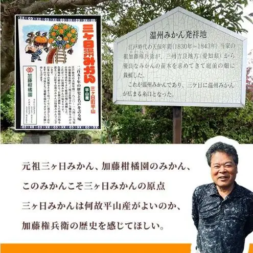 浜松市三ヶ日町平山産加藤柑橘園のみかんジュース3点セット ジュース シロップ漬け デコジュース みかん ミカン 不知火 青島みかん 柑橘 フルーツギフト 静岡 浜松市