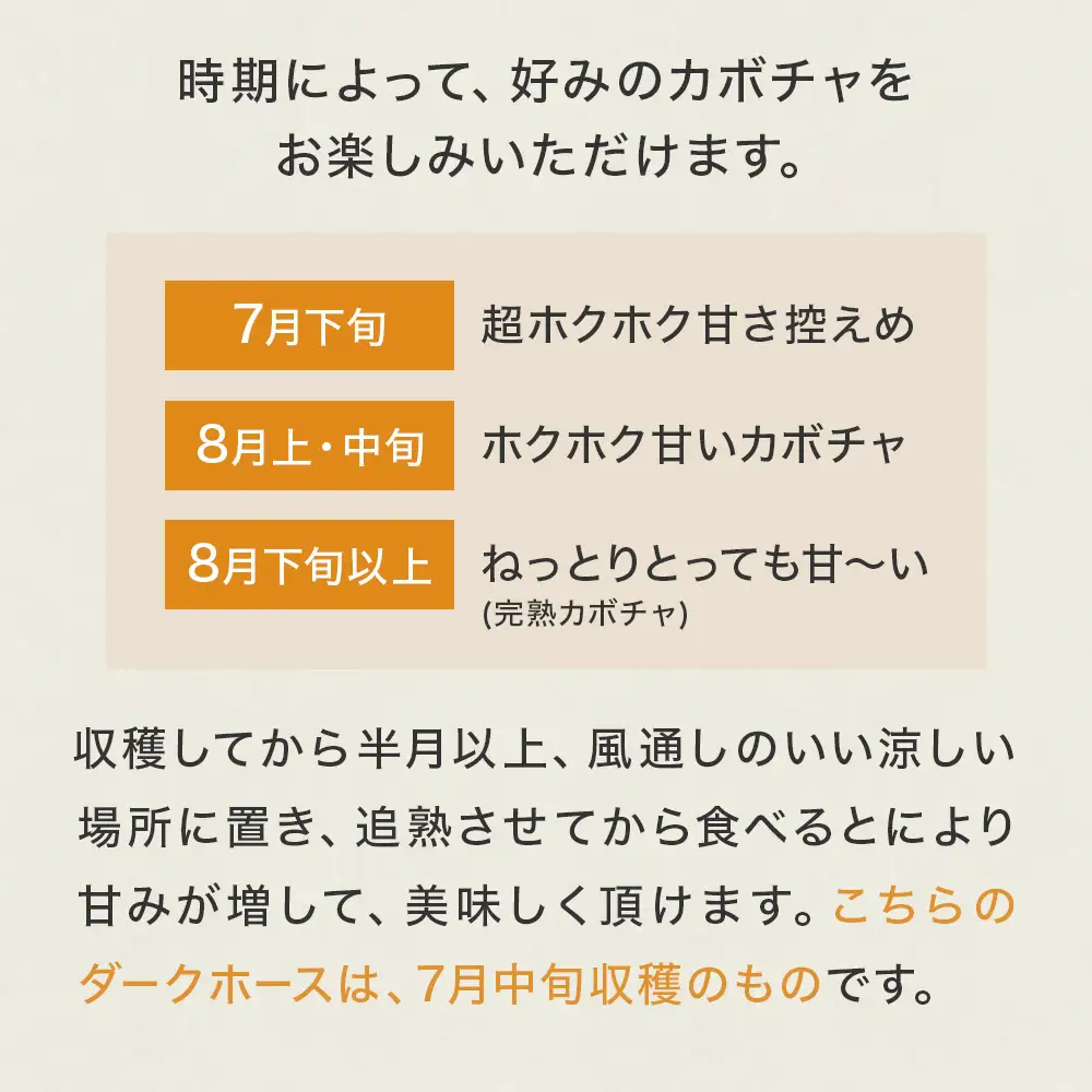 石巻伝承野菜 かぼちゃ ダークホース 5キロ 3～4玉 カボチャ 南瓜 野菜 石巻産 国産 甘い 濃厚 おかず スープ 宮城県 宮城 石巻市 石巻