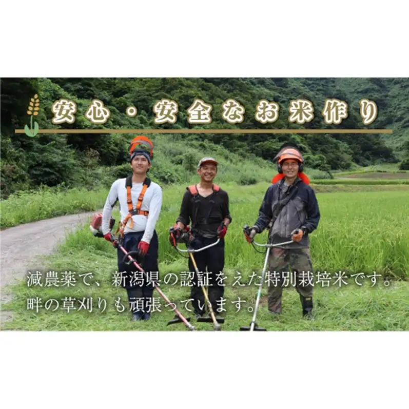 【令和8年産 先行予約】【定期便／全3回】無洗米2kg 新潟県魚沼産コシヒカリ「山清水米」