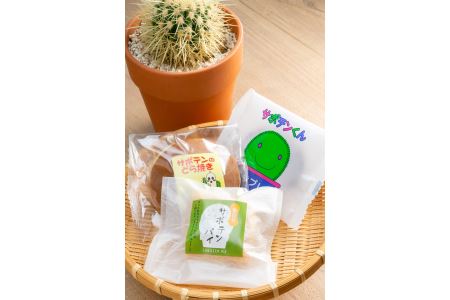 珍しくてかわいい！サボテントリオ（サボテンを使った焼き菓子詰合せ） お菓子 スイーツ 焼き菓子