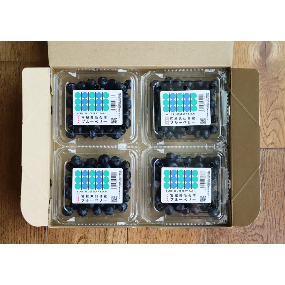 仙台市秋保産ブルーベリー (120gパックｘ4個　合計480g