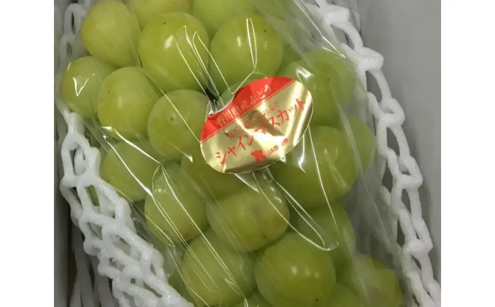 訳ありシャインマスカット  2kg (3-6房)　ご家庭用