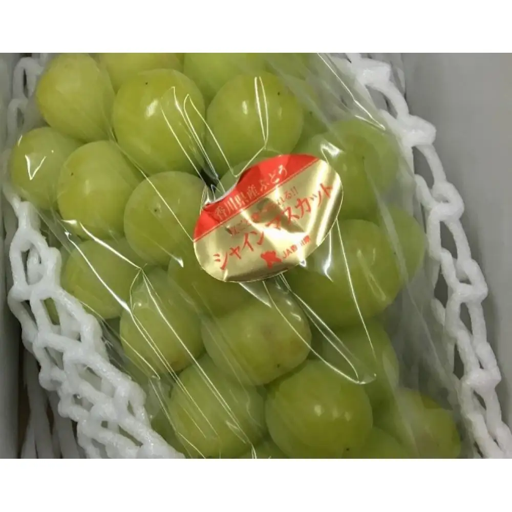 訳ありシャインマスカット  1.1kg (2房) ご家庭用