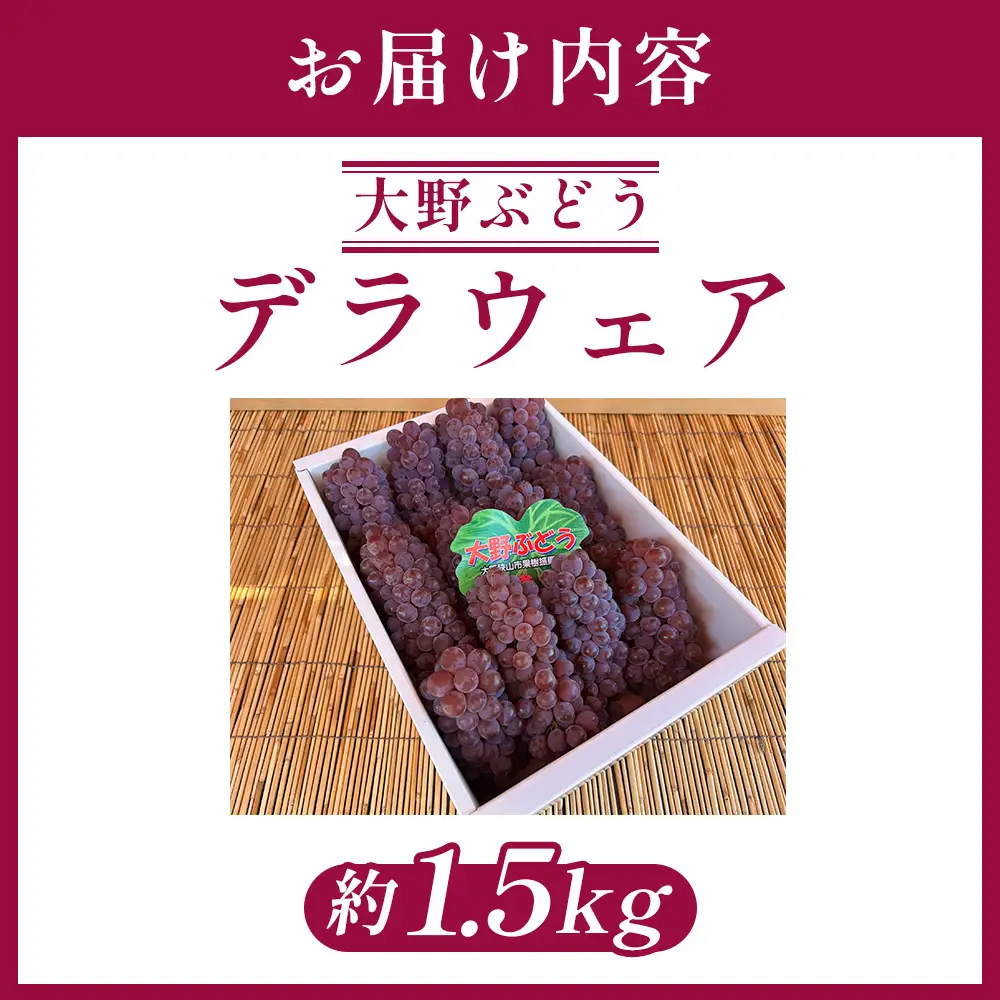 デラウェア 1.5kg【あずまぶどう園】 ／ 産地直送 ぶどう デラウェア フルーツ 旬 大野ぶどう 芳醇な香り とろける甘さ 高糖度 糖度23～24 国産フルーツ お取り寄せ 送料無料 No.374