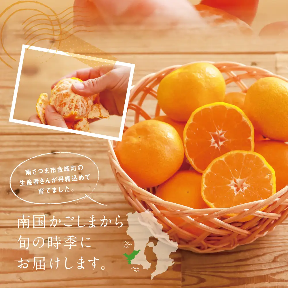 鹿児島県産 ハウスみかん 約2.4kg【 先行受付 ★7月～8月発送★】 化粧箱入り 先行予約 柑橘 みかん ミカン 蜜柑 ハウスミカン 温室 温州ミカン 温州みかん 旬 数量・期間 限定 国産 果実 果物 くだもの フルーツ 果肉 果汁 食品 デザート スイーツ おやつ 甘い 旬 季節限定 季節の果物 おすすめ ご褒美 贅沢 グルメ お取り寄せ JAさつま日置 鹿児島 鹿児島県 南さつま市