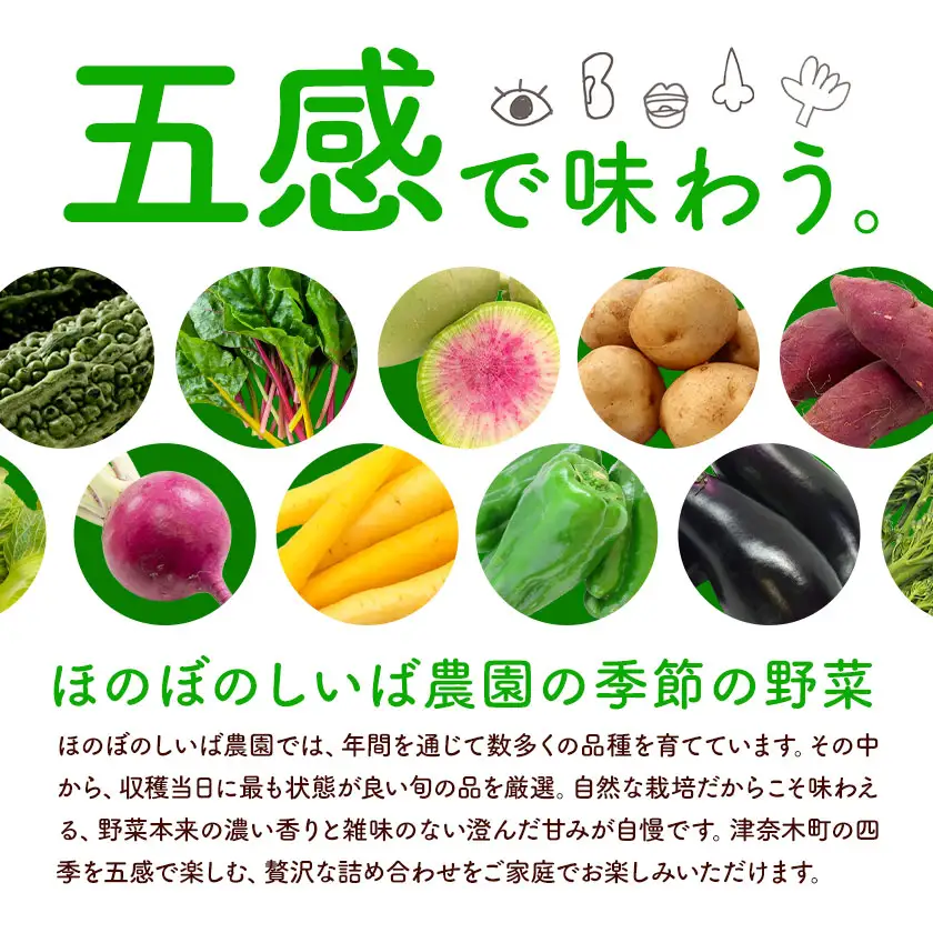 野菜 季節の野菜 10品 詰め合わせ セット ほのぼのしいば農園《5月上旬-7月下旬頃出荷》