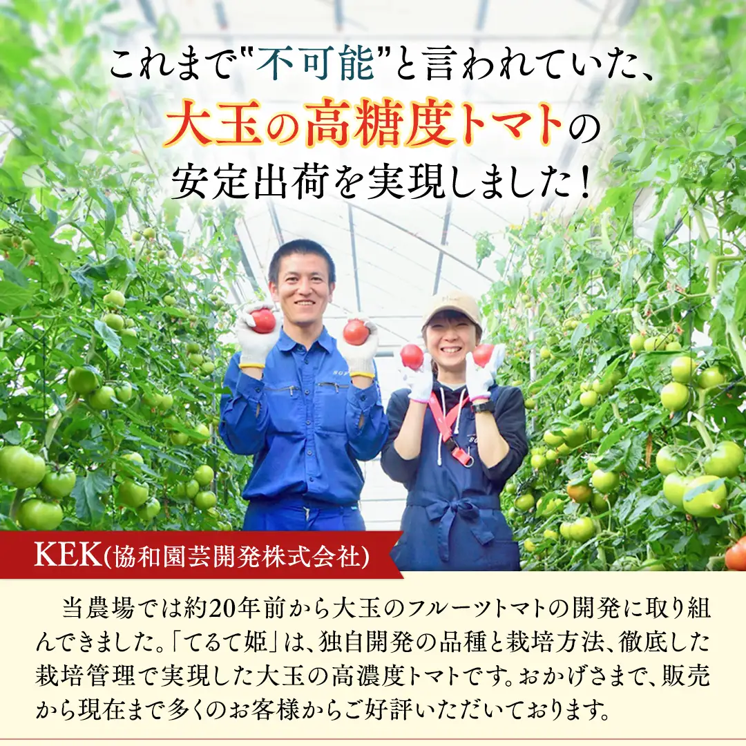 《 2027年 収穫分 》4～5月配送 スーパーフルーツトマト てるて姫 中箱 約1.2kg × 1箱 【12〜15玉/1箱】 糖度9度以上 定期便 先行予約 フルーツトマト ブランドトマト 野菜 ギフト 贈答 青空レストラン アド街ック天国 グッドモーニング 黄金のワンスプーン 昼めし旅 [BC033sa0405]
 