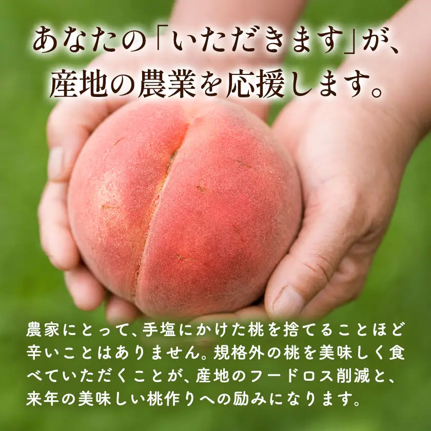 もったいない桃 約2kg【配送不可地域あり】