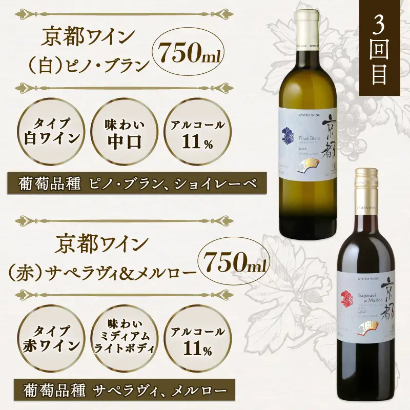 【3回定期便】丹波ワイン 飲み比べ 750ml 2本 × 3カ月 6本 セット ワイン 