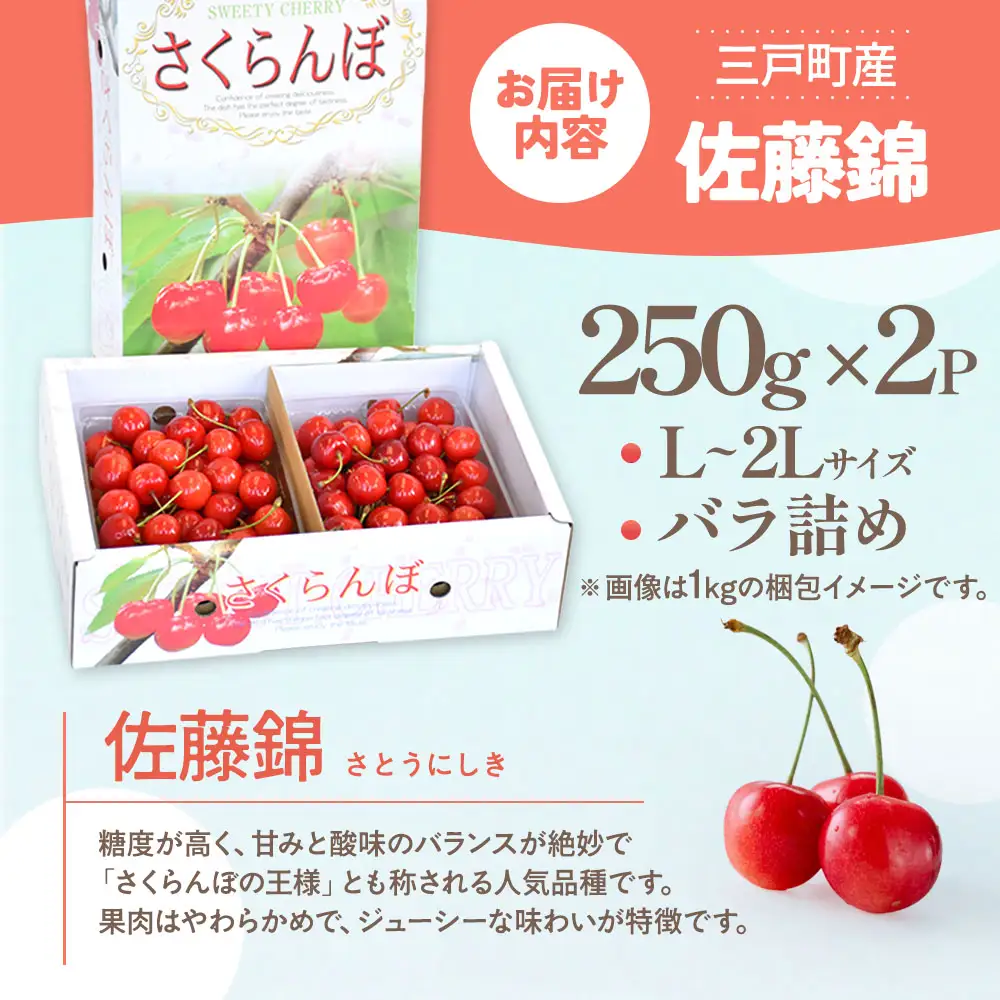 さくらんぼ ( 佐藤錦 ) 500g さくらんぼ 01-05-715