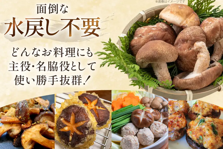 生しいたけ セット 約300g× 2袋 約150g× 2袋 計4袋 約900g [杉本きのこ園 宮崎県 美郷町 31bs0001]