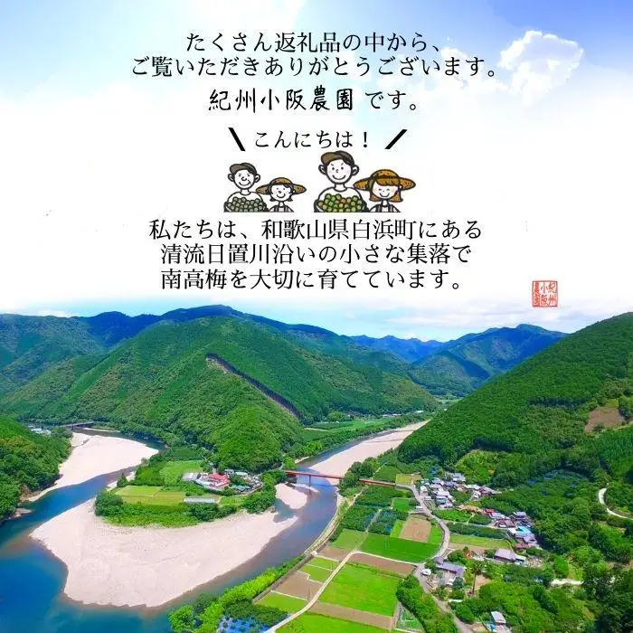 はちみつ梅　ぽってり特選（400ｇ）紀州南高梅【梅農家手づくり梅干】