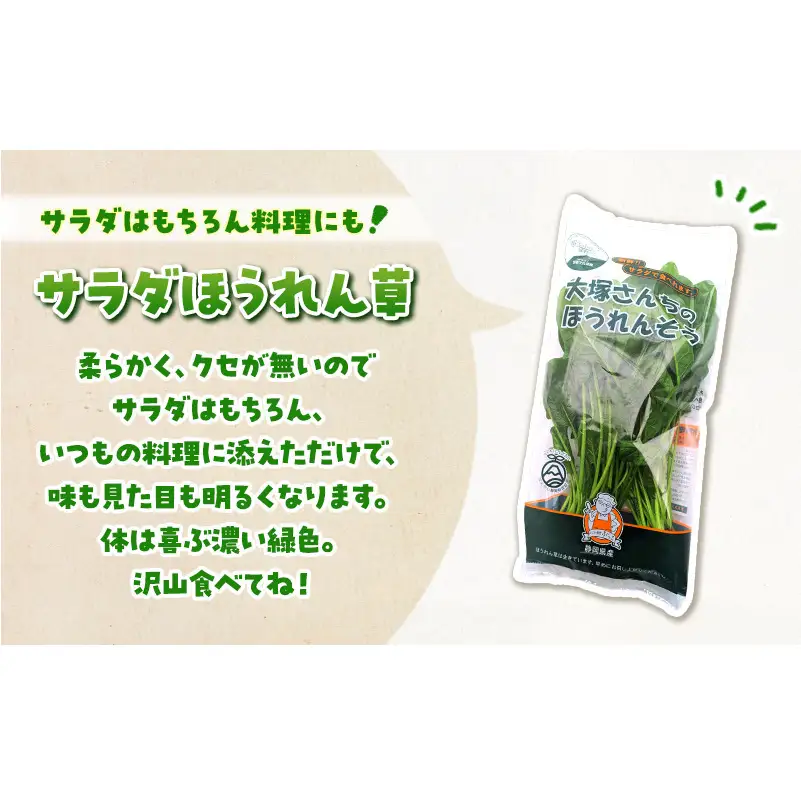 定期便 3回 ホワイトミニセルリー 5袋 ＆ サラダほうれん草 7袋 計36袋 野菜 詰め合わせ 毎月届く 3ヶ月 セロリ ほうれんそう 新鮮 産地直送 野菜セット 詰合せ