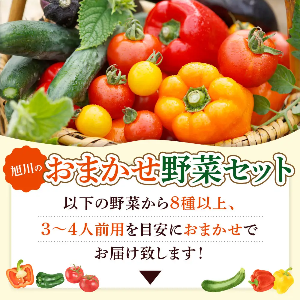 【先行予約】旭川のおまかせ野菜セット(8種以上) (2026年7月下旬発送開始) 野菜セット _05909