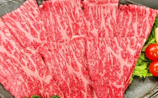 【緊急支援品】  A4～A5 限定 九州産 黒毛和牛 赤身 スライス （もも・うで） 合計1.2kg 【数量限定】【2026年8月発送】