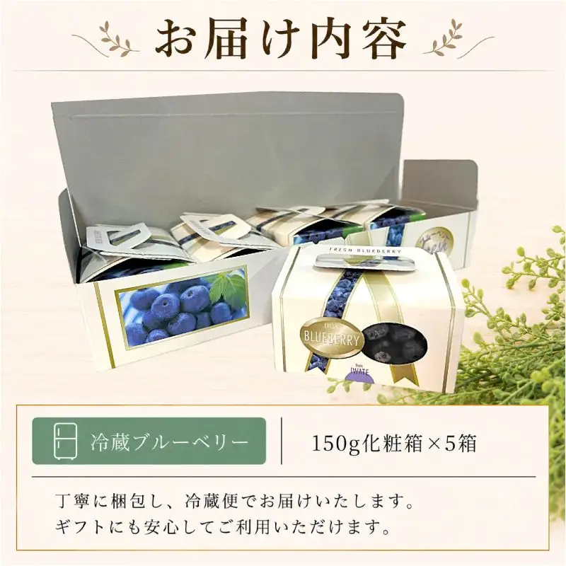 【7月発送】完熟 ブルーベリー 中玉 750g (150ｇ×5) 北田りんご園 kitada002 ブルーベリー
