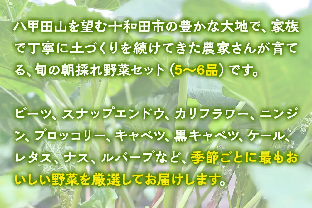 十和田の大地が育てた旬のお野菜お楽しみBOX 家族農家の朝採れ野菜