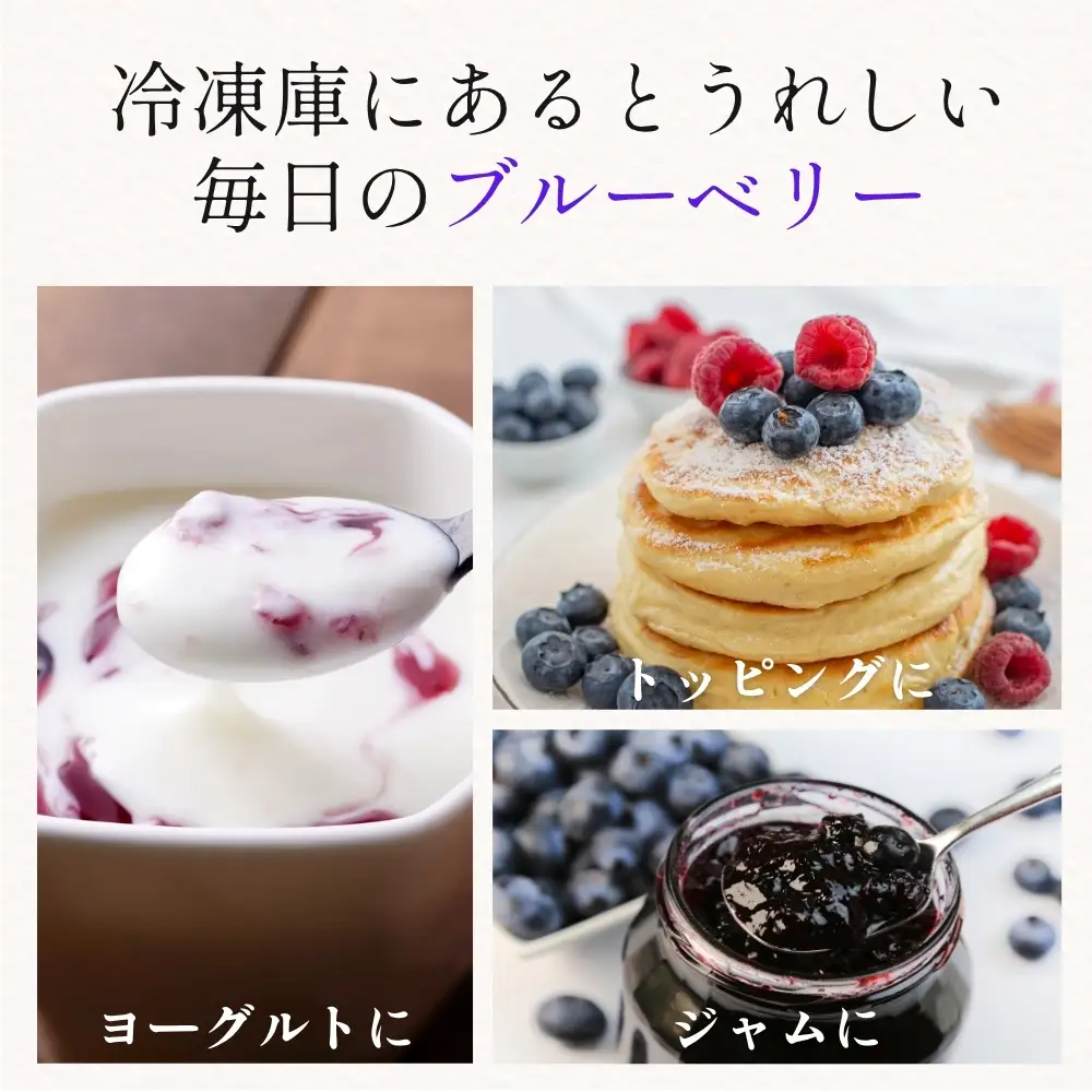 【予約数量限定】ブルーベリー 有機JAS認証 500g 冷凍 無農薬