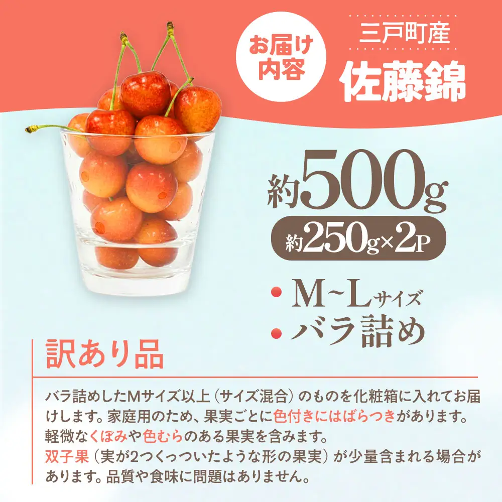 【訳あり】さくらんぼ【佐藤錦】約500g（M～Lサイズ）2026年6月中旬～