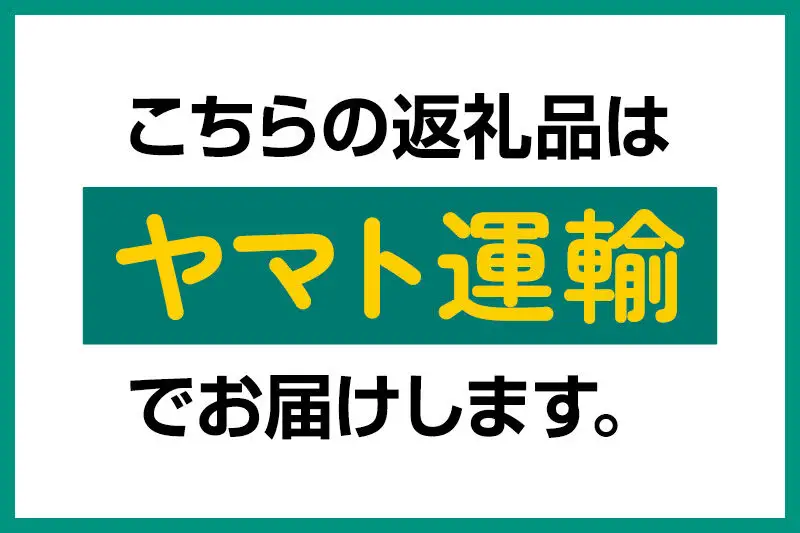 《近畿以北限定》 夏イチゴ専門農園の園主おすすめ！ 仙北市産 夏いちご 約600g（約300g×2パック）