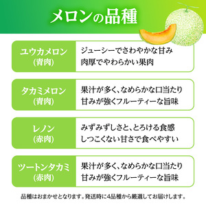 メロン 先行 予約 青森 減農薬栽培メロン 2玉 糖度16度以上保証 減農薬 青肉 赤肉 青肉メロン 赤肉メロン フルーツ 果物 旬のフルーツ 旬の果物 旬 夏 レビュー 高評価 先行予約 2026 2026年 青森県