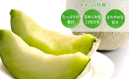 【先行予約2026年産】長谷川さんが作ったメロン2個（ゆうか・タカミ）　7月～8月発送　青森県鰺ヶ沢町産 2玉 果物類 フルーツ メロン青肉 