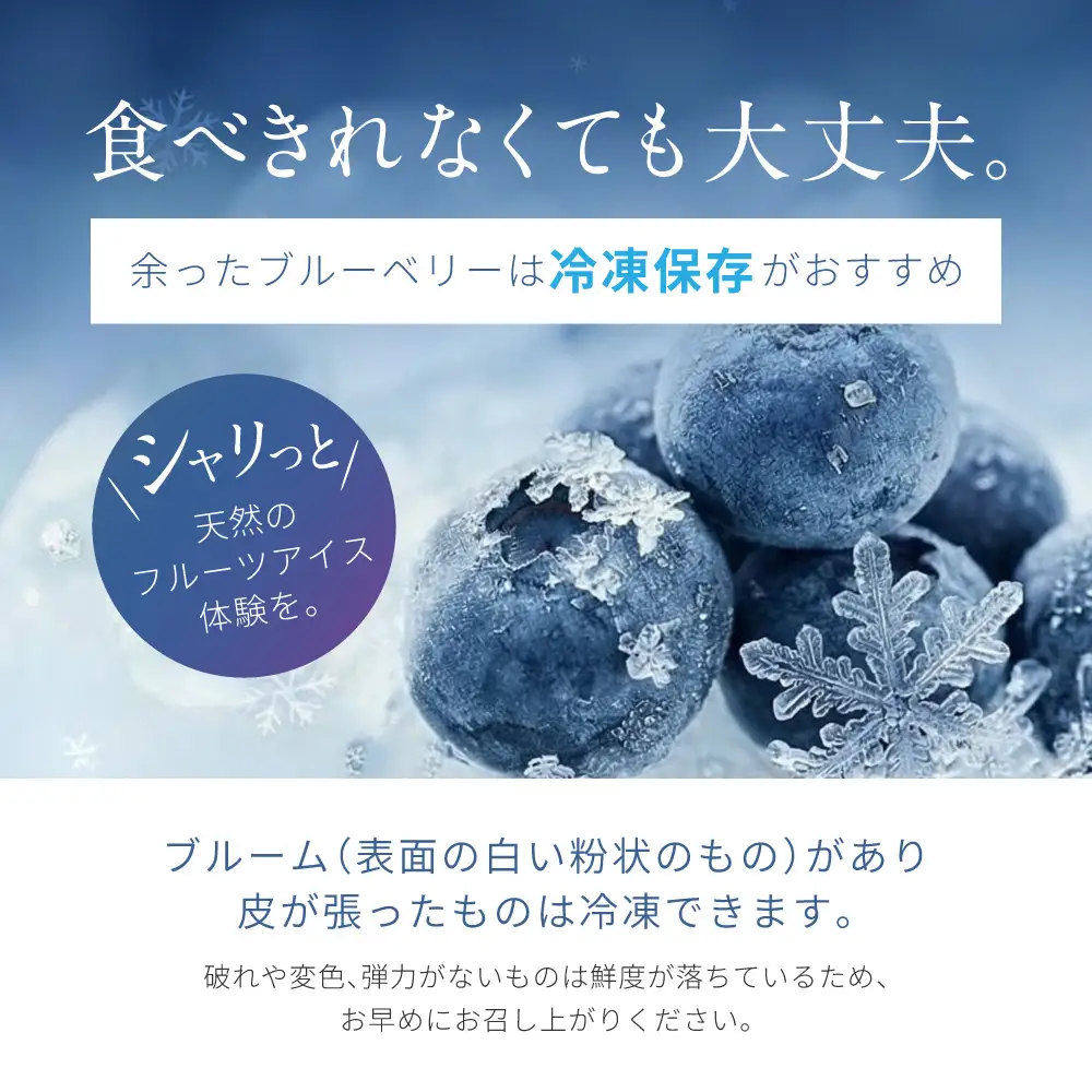 【期間限定】《2026年8月上旬まで》ブルーベリー 600g コバヤシ化成 滋賀県 東近江市 A-B53 ブルーベリー 国産 新鮮 生 予約 冷蔵 フルーツ 果物 完熟 産地直送 滋賀