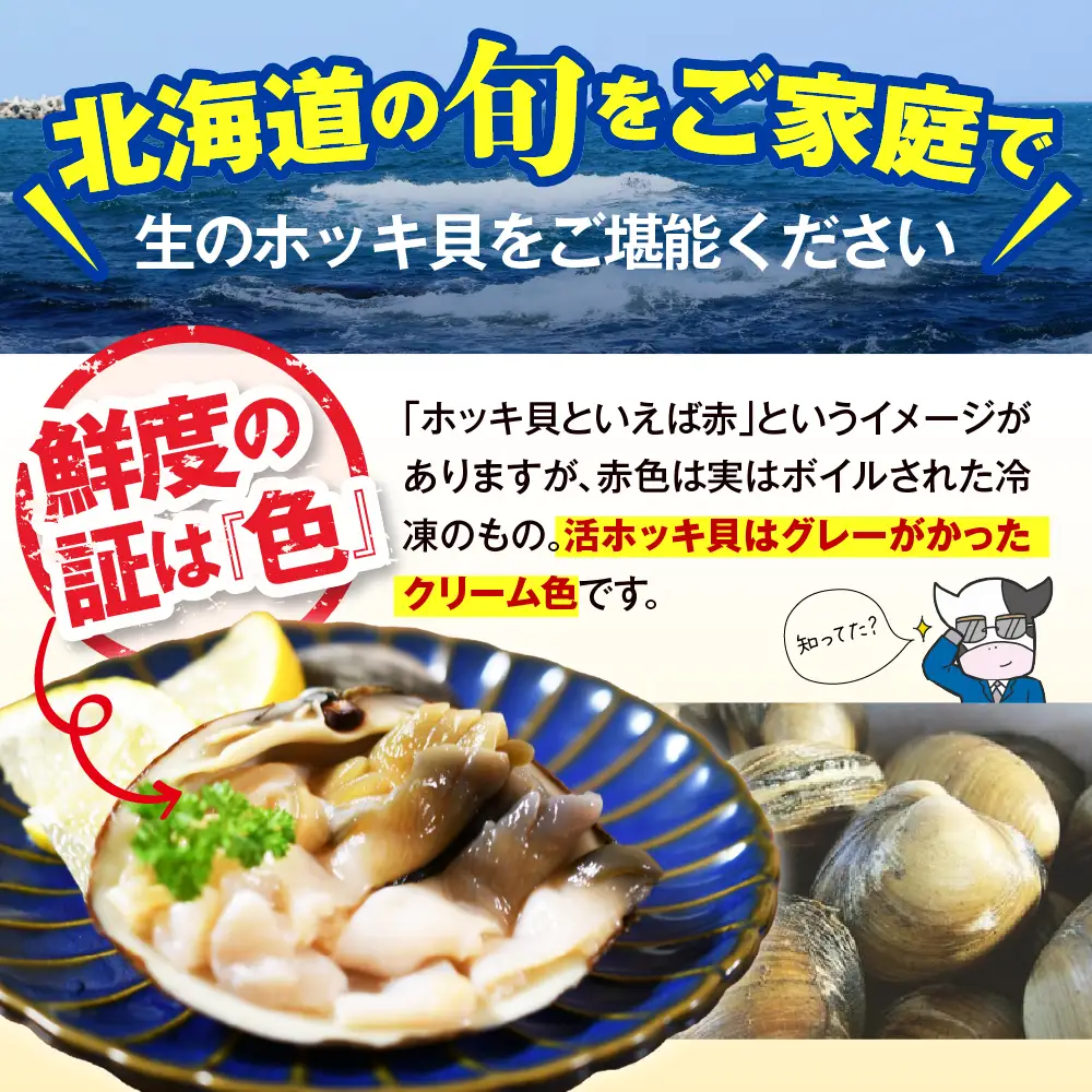 【数量限定】獲れたて直送 ホッキ貝 約2kg
