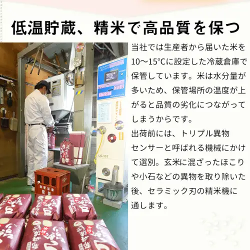 【12回定期便】コシヒカリ・きぬひかり 10kg 定期便 精米 白米