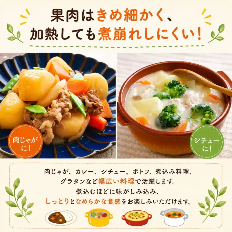 じゃがいも 訳あり 4kg TNK013 じゃがいも