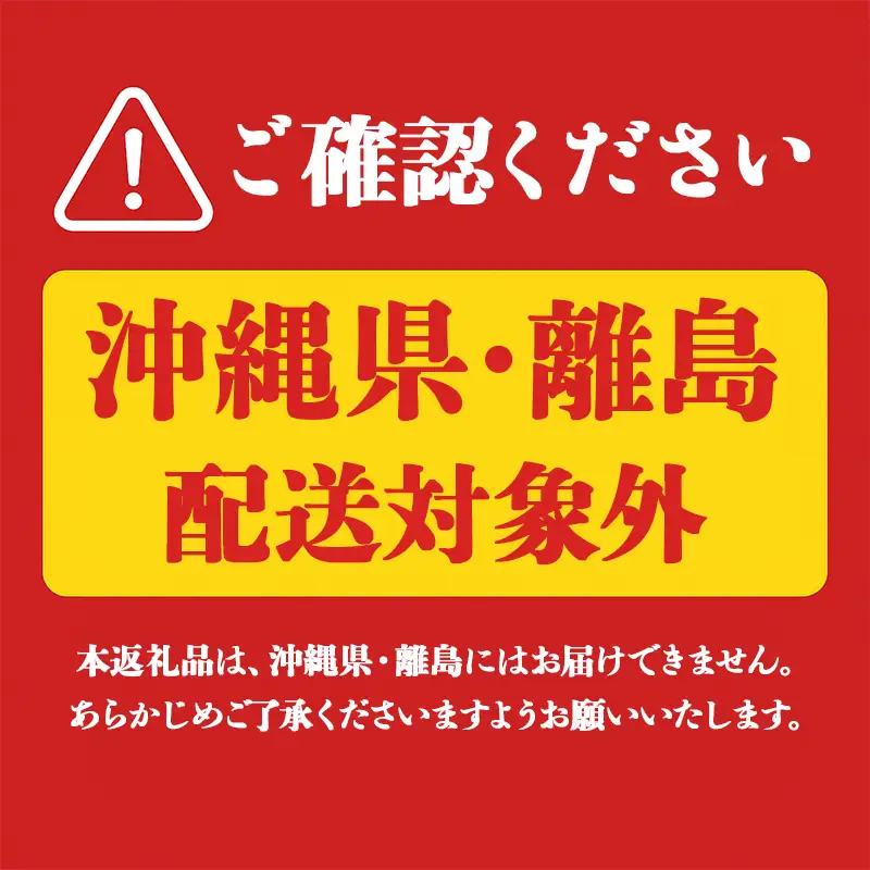 A1-22565／【 期間限定 】生ライチ500g 温泉水で育てた希少な国産ライチ！