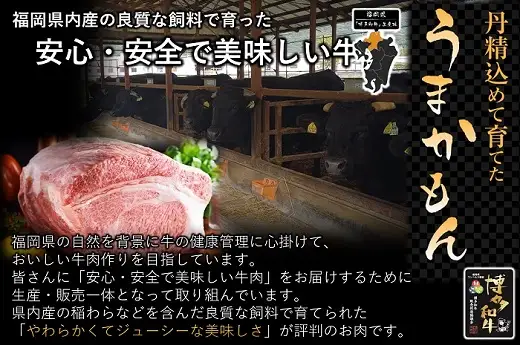 DB004.【全3回定期便】博多和牛肩ローススライス400g【博多和牛】