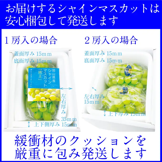 ぶどう 2026年 先行予約【2回定期便】 プレミアムシャインマスカット 晴王 1房 約700g 人気 岡山県船穂産 赤秀品 種無し 皮ごと食べる みずみずしい9月10月お届け ハレノフルーツ