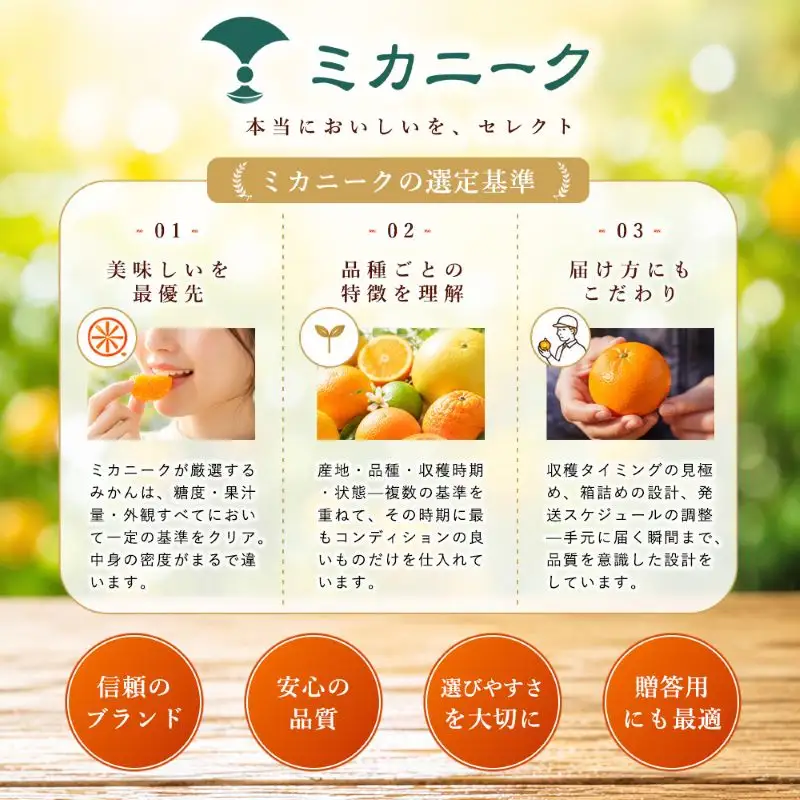 不知火 (デコポン と同品種) 家庭用 10kg 【2027年1月下旬頃から順次発送】 | でこぽん しらぬい shiranui みかん ミカン mikan 蜜柑 訳ありフルーツ 柑橘 果物 おすすめ お勧め お取り寄せ ギフト 愛媛県 松山市 【MKN087】