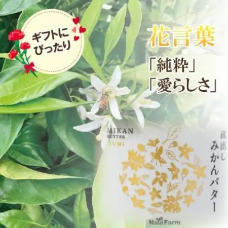 OSAKA PRIDE PRODUCTS2025選定!みかん・れもんスプレッド詰合ー各190g×4個【1740771】