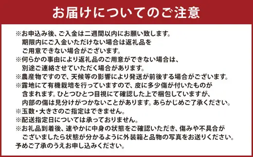 【先行受付】特別栽培不知火 5kg サイズミックス  特別栽培 不知火 柑橘 デコポン でこぽん フルーツ 果物 果実 九州産 熊本県産【2027年3月上旬から4月上旬発送予定】