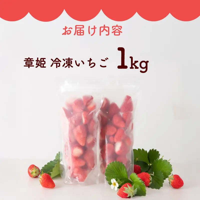 冷凍いちご 1kg 章姫 国産   静岡県 牧之原市 藤田農園