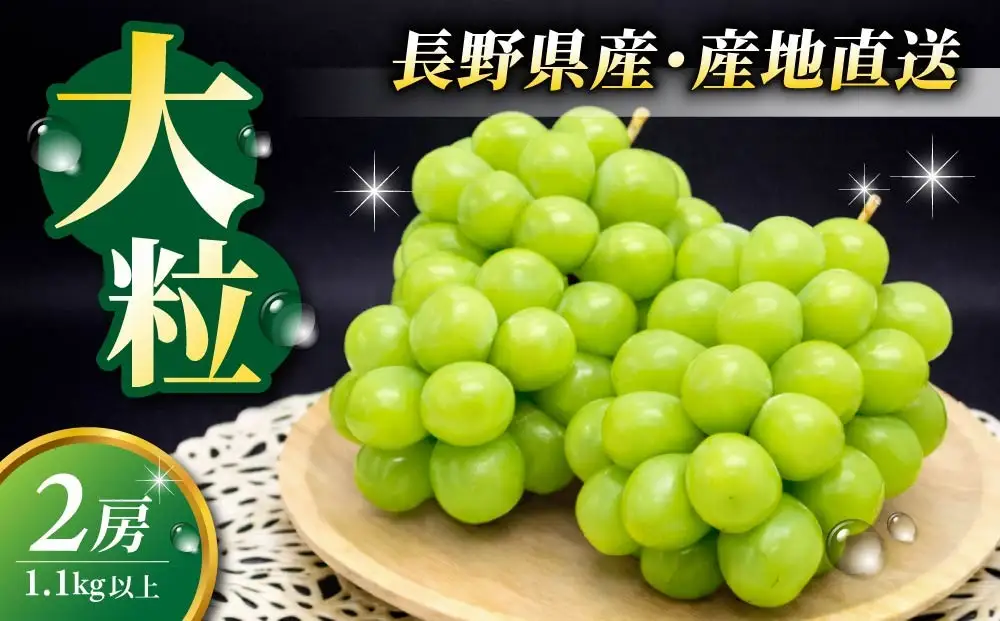 【2回定期便】シャインマスカットと地ビールの人気セット（シャインマスカット2房1.1kg以上とクラフトビール飲み比べ（3種20本））｜【JA信州うえだ／オラホビール】ぶどう 葡萄 大粒 果物 フルーツ 生食／ゴールデンエール・アンバーエール・ヌーベルセゾン 地ビール 頒布会 長野