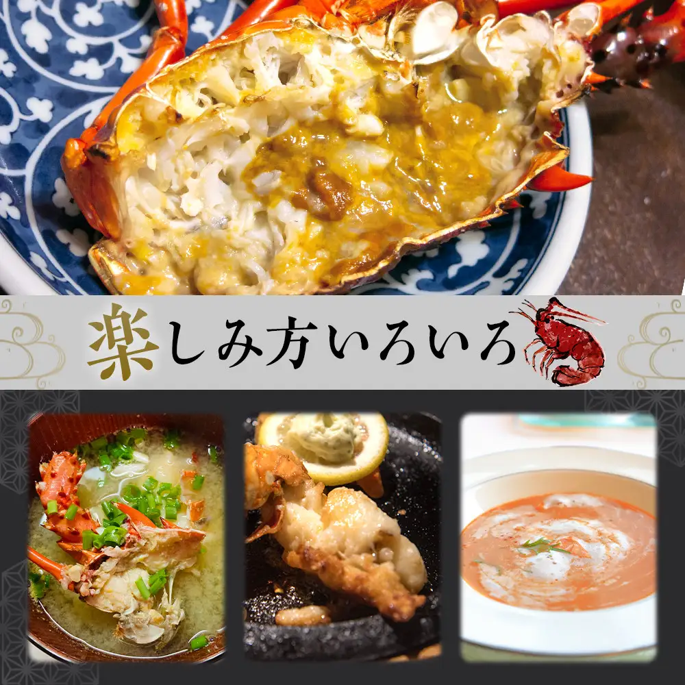 冷凍伊勢海老カット約2kg（サイズ不揃い）［HC16］