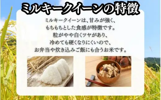 勝山の力米 ミルキークィーン 無洗米 2kg×2袋 ｜ 白米 米 お米 こめ コメ ライス ご飯 ごはん 贈り物 国産 仕送り お取り寄せ 産地直送 農家直送 数量限定 人気 おすすめ 【mwgk002-01】